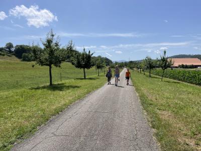 Walking from one ruin to another.