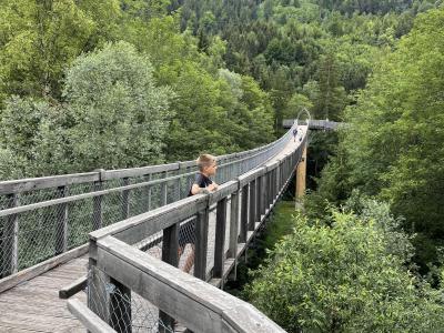 Tree-top hike at Ziegelwies Füssen Forest Center.