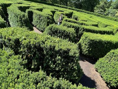 Hedge maze