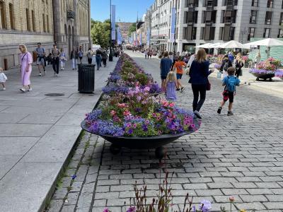 Street flowers